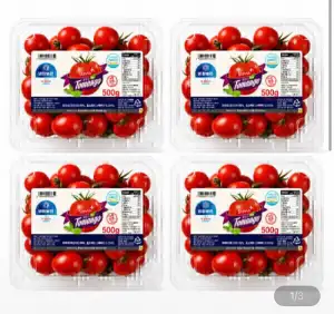 스테비아 대추 방울 토마토500gX4팩 / 대추방울토마토 3~4번과 2kg
