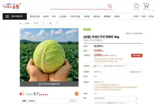 국내산 무안 양배추 3kg
