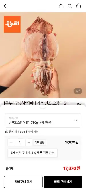 피데기 반건조 오징어 5미 750g