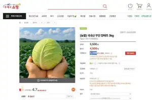 국내산 무안 양배추 3kg(사이즈혼합)