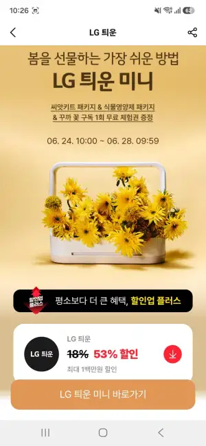 틔운 미니+키트+꽃구독1회권