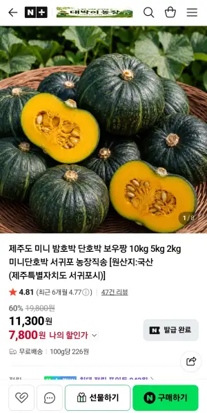 미니 단호박 밤호박 보우짱 제주도산 2kg