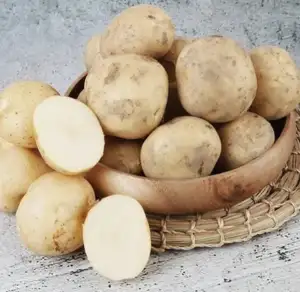 수미감자 대 5kg 외 양파,홈런볼