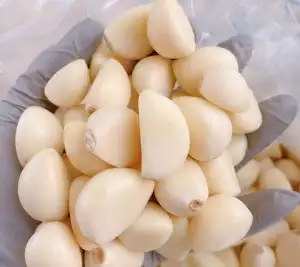 26년산 남도 깐마늘 500g