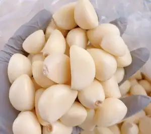 26년산 국내산 남도 깐마늘 500g