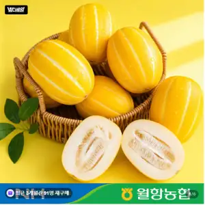 성주 꿀 참외 12brix이상 당도선별 로얄과 5kg
