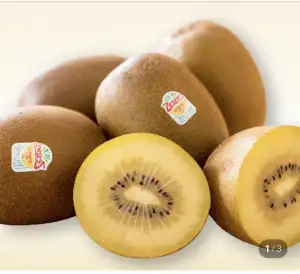제스프리 골드키위 특대과 점보 1.2kg