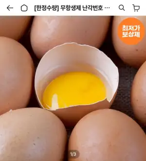 무항생제 난각번호 1번 유정란 40구