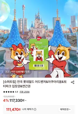 부산 롯데월드 연간권 대인