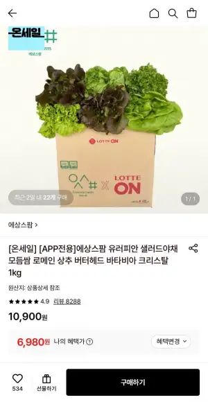 유러피안 샐러드야채 1kg