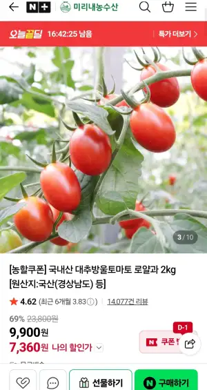 대추방울토마토 로얄과 2kg 