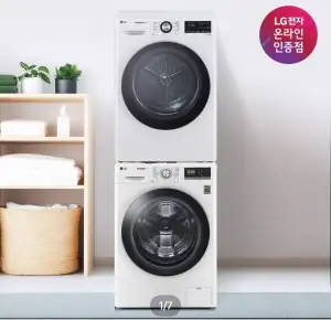 LG 트롬 세탁기건조기세트 F12WVR-10WB 1등급