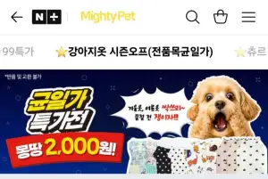 마이티펫 강아지 옷 특가 할인 모음