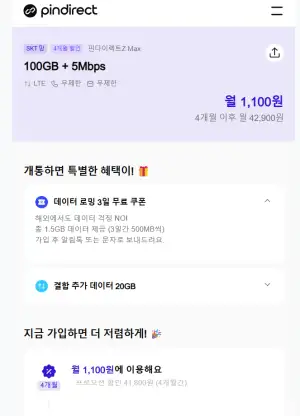 [기타] Pindrect 100GB + 5mps (4개월)