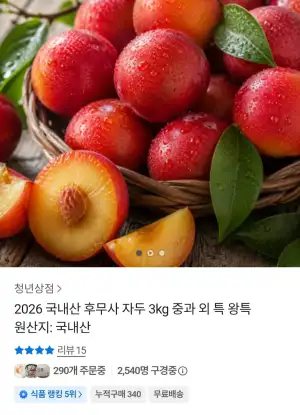 [톡딜] 국내산 후무사 자두 3kg 중과