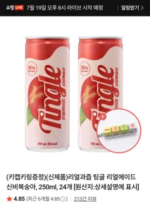 리얼과즙 팅글 리얼에이드 신비복숭아 250ml 24개 + 키캡키링