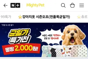 마이티펫 강아지 옷 시즌오프 전품목균일가