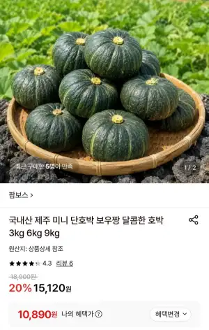 국내산 제주 미니 단호박 로얄과 6kg
