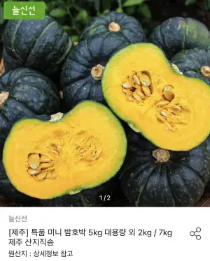 제주산 미니 단호박 5kg
