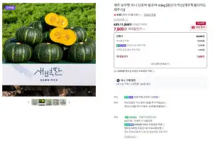 미니 단호박 보우짱 4.5kg