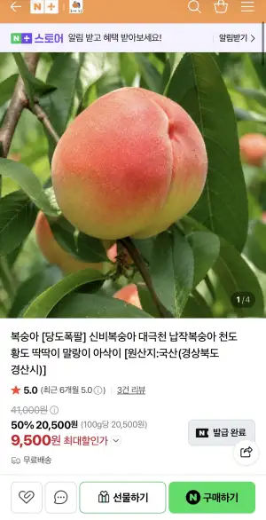 [네이버] 당일수확 딱딱이 대월 복숭아 4KG 소과