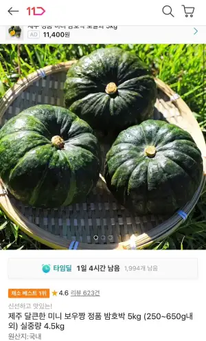 제주 미니 보우짱 밤호박 5kg (250~650g내외) 실중량 4.5kg
