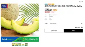 국내산 머스크메론 3.2kg 2수