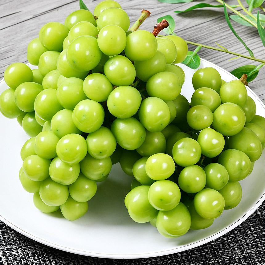Súng hỏa mai sáng bóng, nặng, 1 kg, 2 miếng