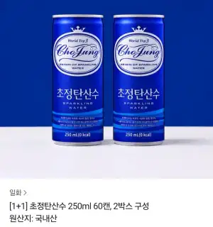 초정탄산수 250ml X 60캔