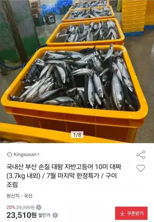국내산 부산 손질 대왕 자반고등어 10미