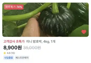 미니 밤호박 4kg