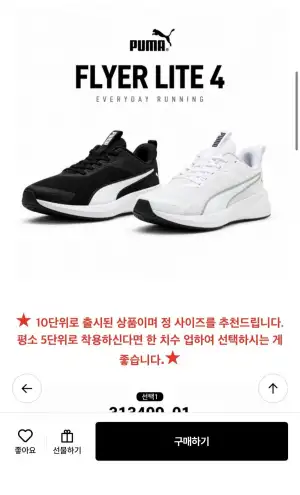 푸마 남여공용 경량 워킹화 FLYER LITE 4 2종 택1