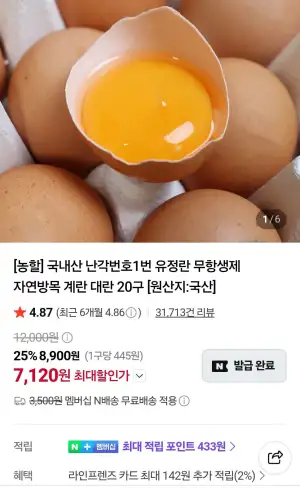 난각번호1번 유정란 무항생제 20구 네멤