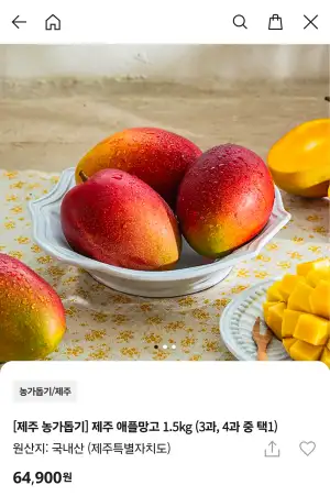 제주 애플망고 1.5kg 4과 