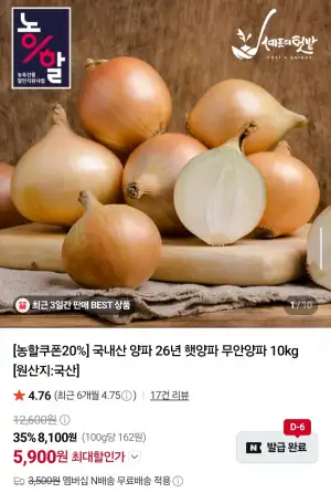 국내산 햇양파 5kg