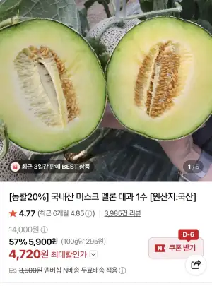 머스크멜론 대과 1수