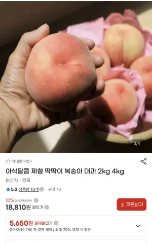 [지마켓] 아삭달콤 제철 딱딱이 복숭아 대과 2kg